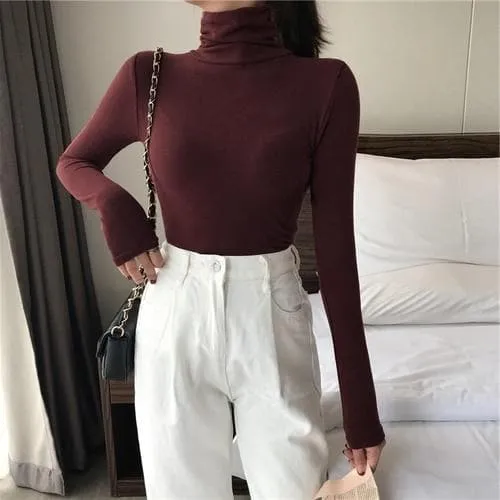 Basic Slim Fit Turtleneck